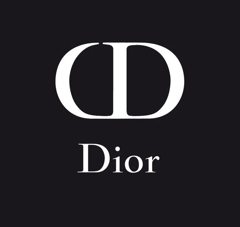 DIOR LONG SADDLE WALLET WITH CHAIN