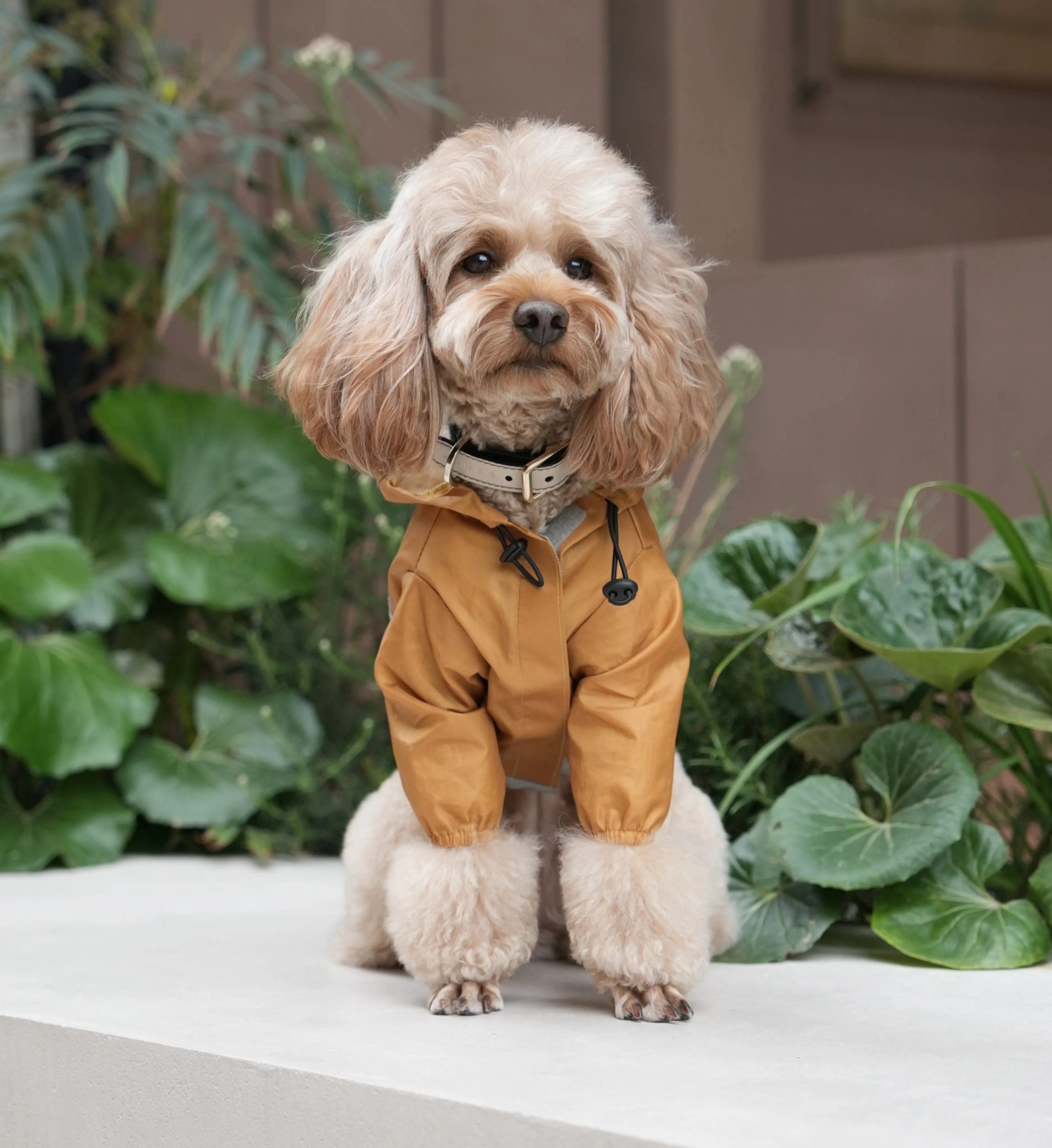 Ultralight Full covered hooded waterproof dog jacket - Yellow