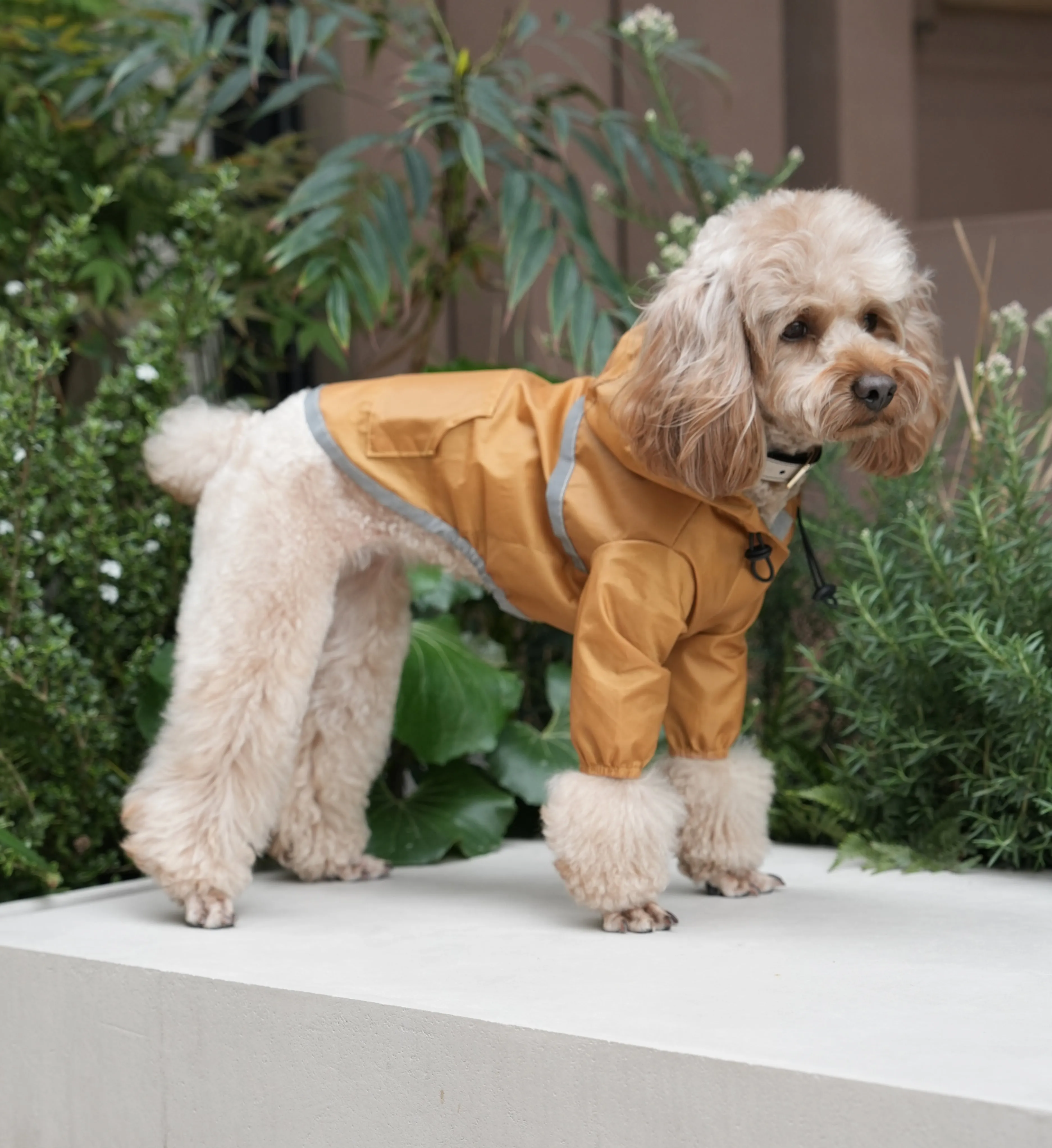 Ultralight Full covered hooded waterproof dog jacket - Yellow